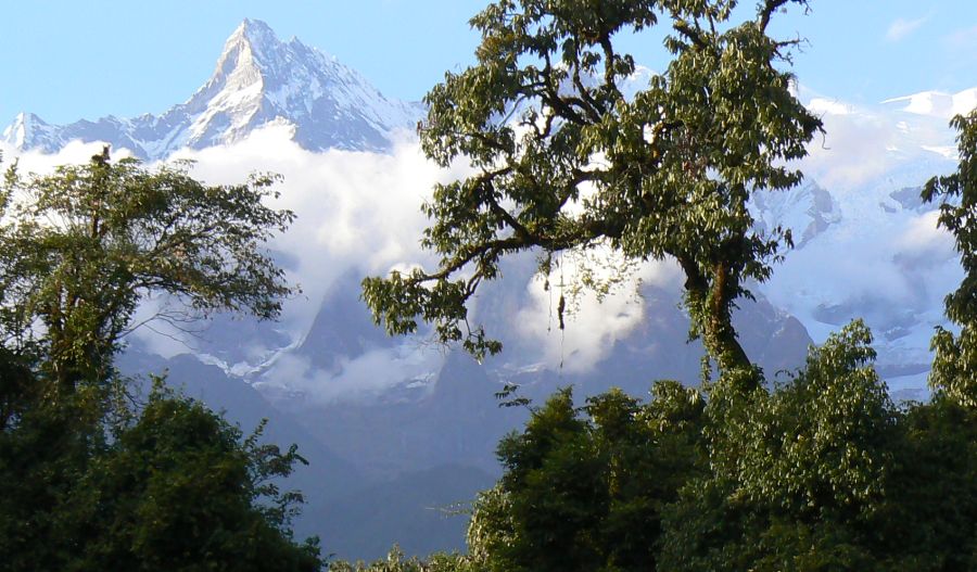 Macchapucchre ( Fishtail Mountain )