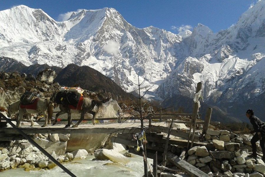 Mount Manaslu from the North-West