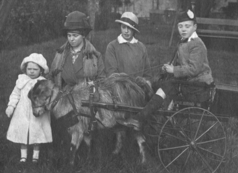 Charlotte ( Lottie ) Cameron, Jane Cameron, Bessie Stevens, Jackie Harvey