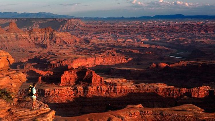 Canyonlands from Dead Horse Point on " Island in the Sky "