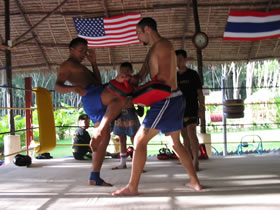 http://www.tigermuaythai.com