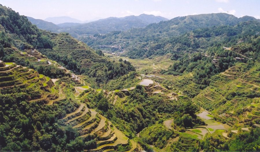 Rice terraces at Banaue in the Philippines