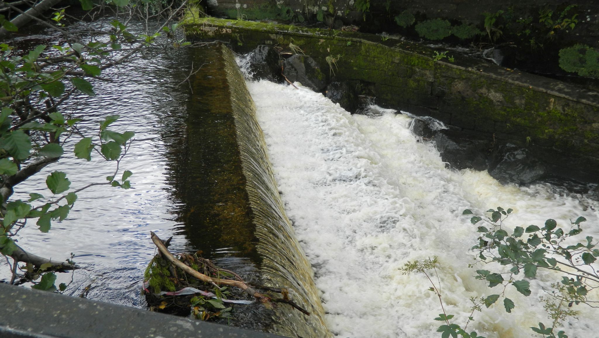 Weir on Allander River in Milngavie