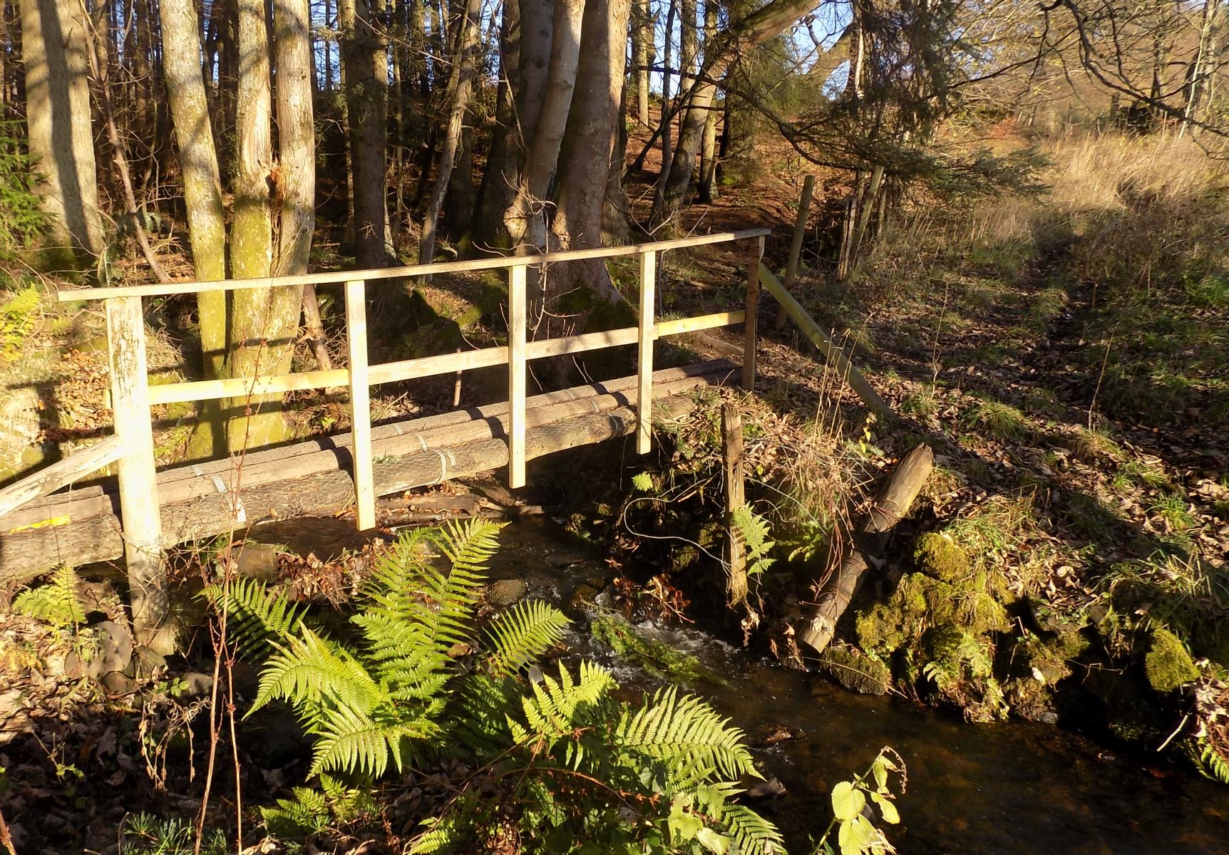 Path on route to Alloch Dam