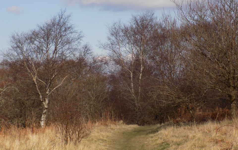 Calderwood Country Park