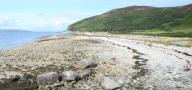 Arran_seashore.jpg