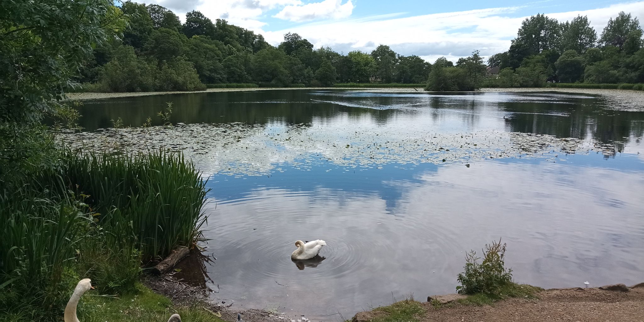 Kilmardinny Loch