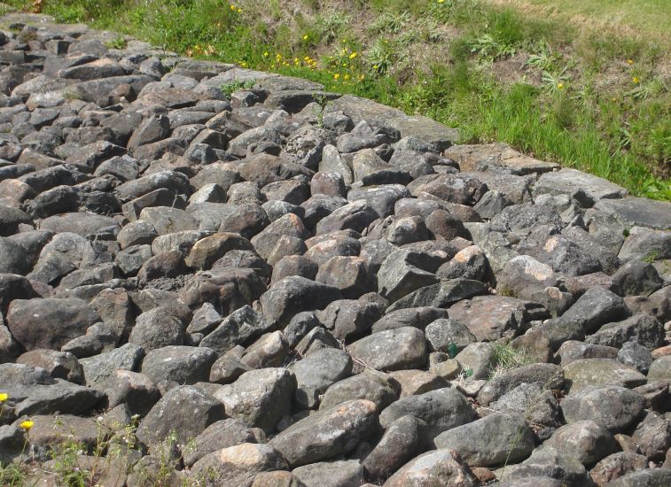 Antonine Wall in Bearsden