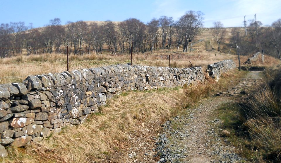 Public Path from Balloch to Helensburgh