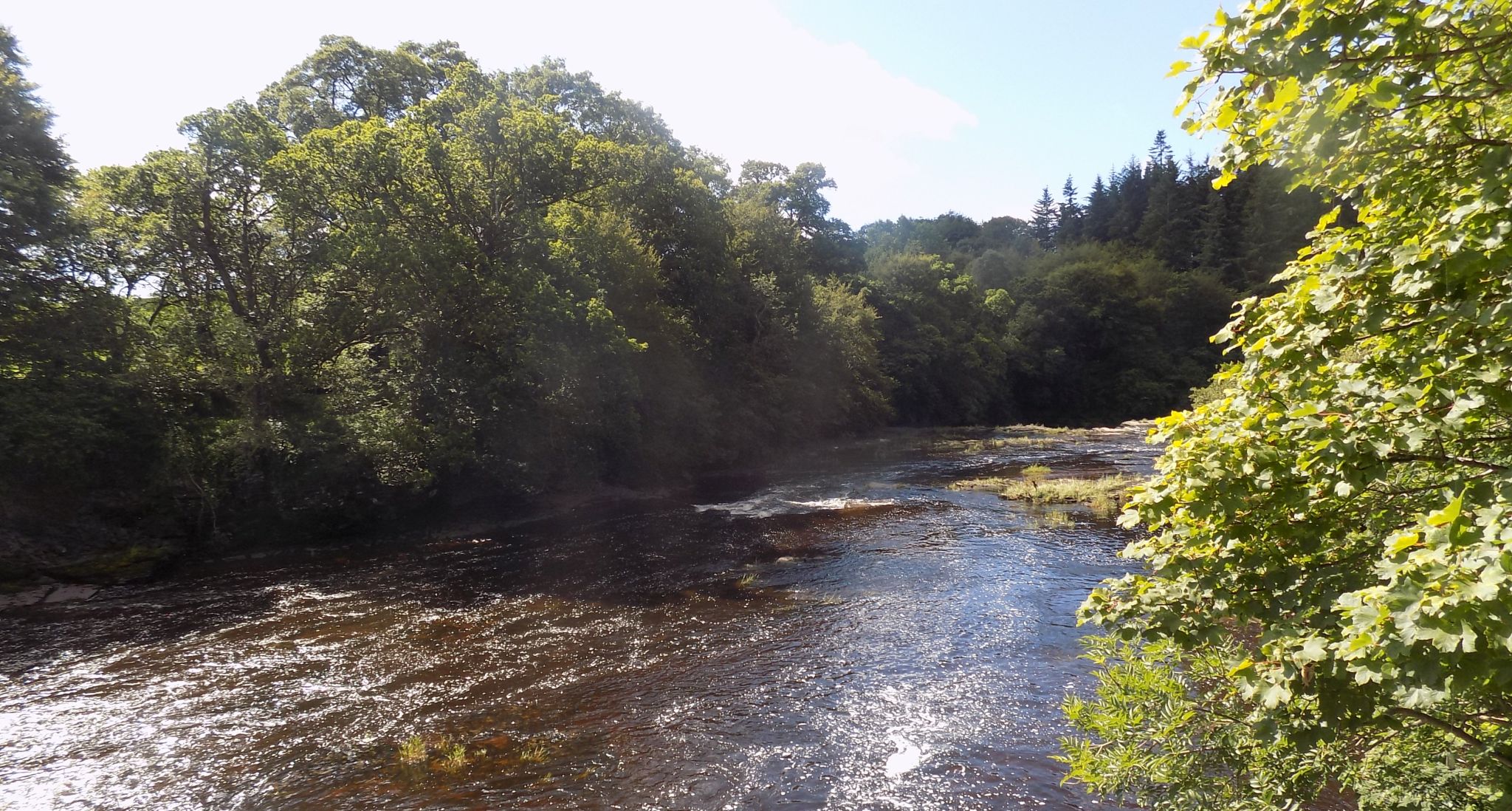 River Clyde above Bonnington Linn bridge