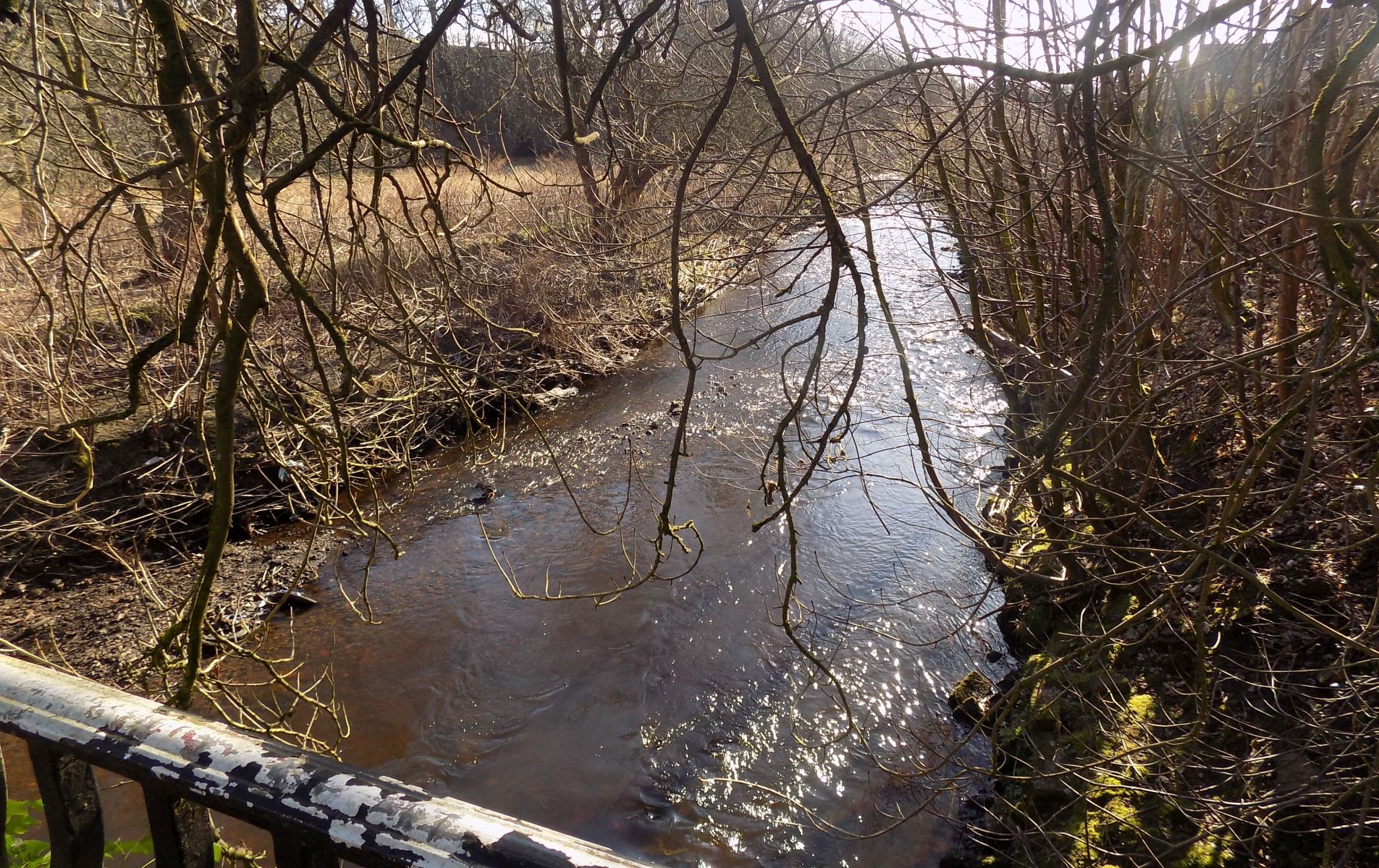 North Calder Water at Monkland Bridge