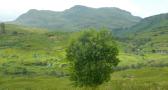 DSCN3379.JPG