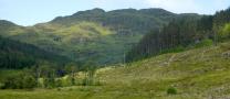 DSCN3381.JPG