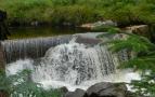 DSCN3385.JPG