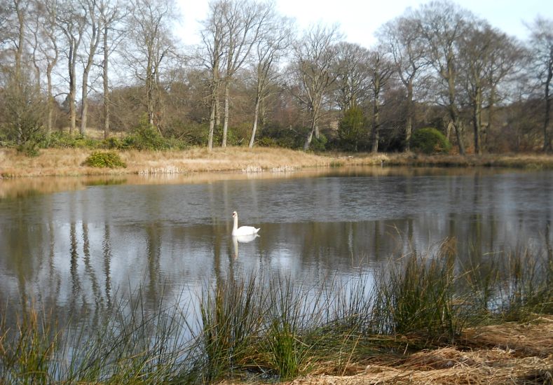 Ladies Pond on Dougalston Estate