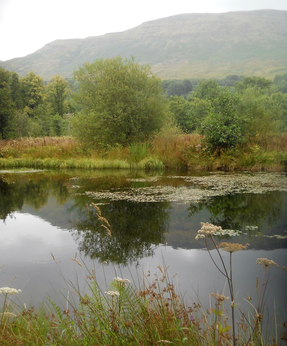 Campsie Fells on route to Dumgoyach