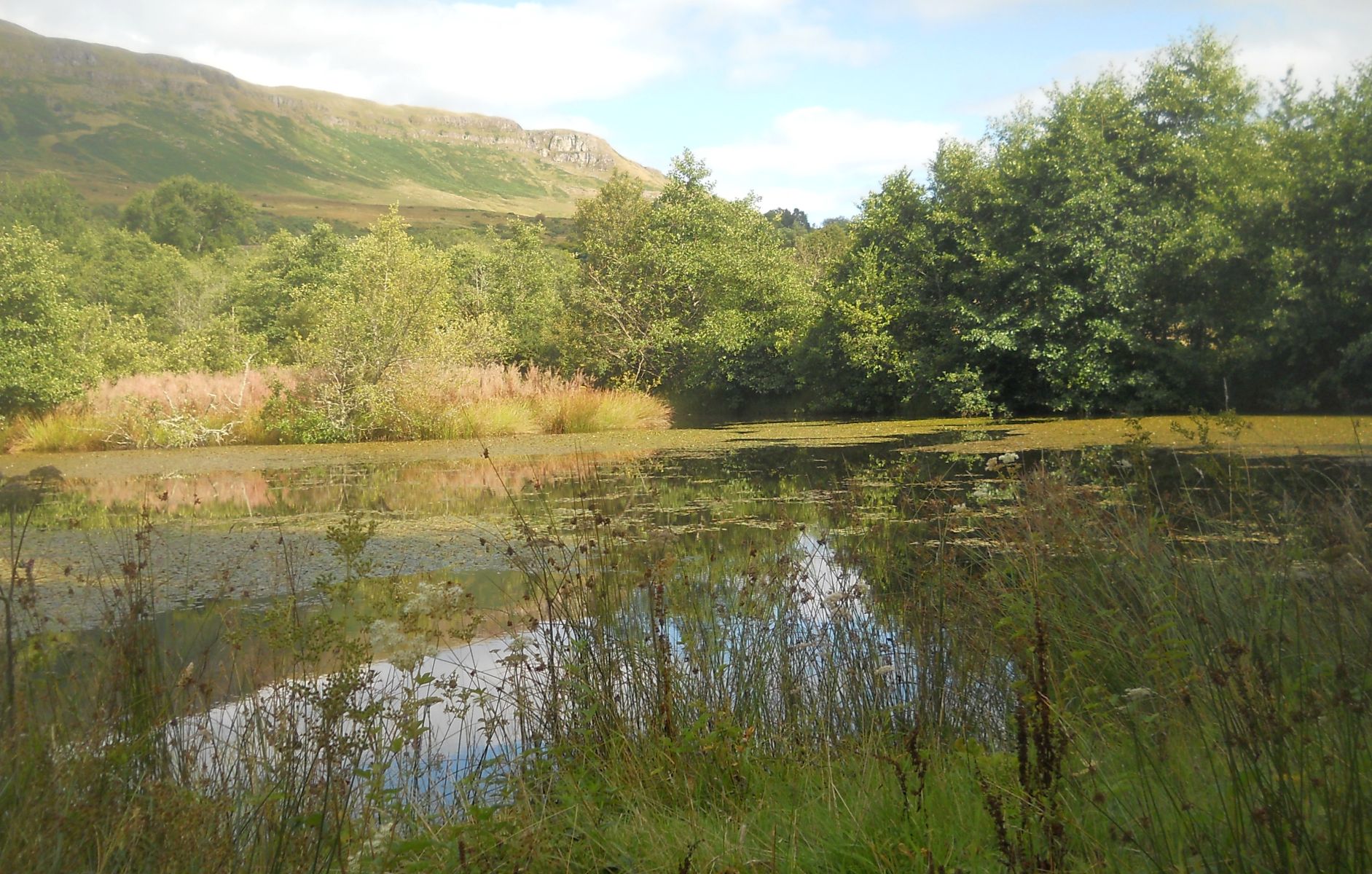 Campsie Fells on route to Dumgoyach