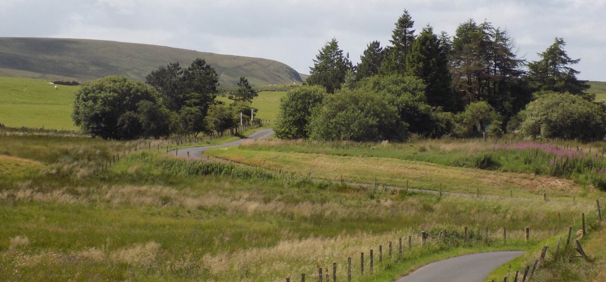 Ballageich Hill on approach to East Moorhouse Farm