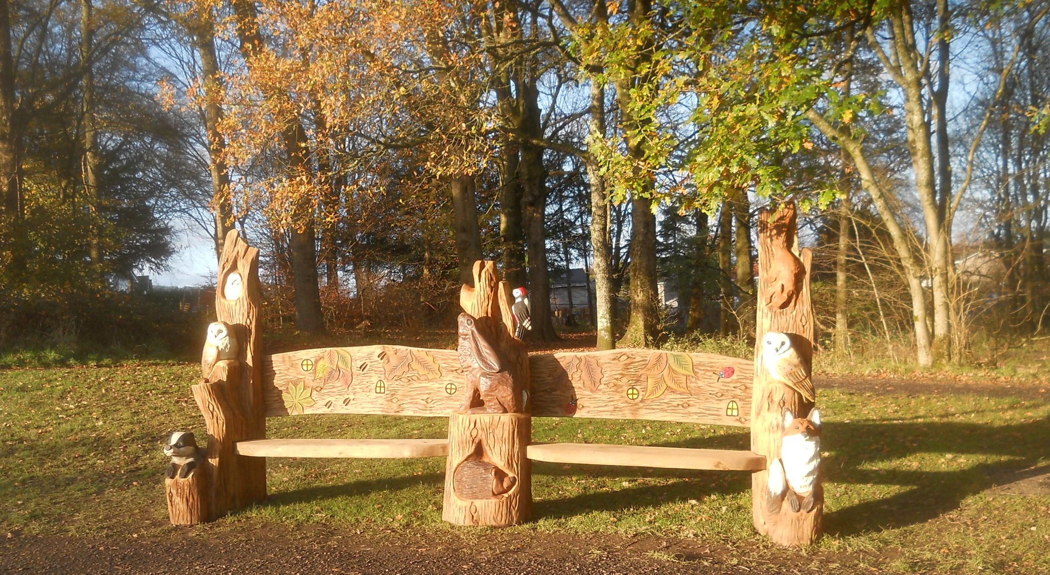 Carved Beech Log Bench at Kilmardinny Loch in Bearsden