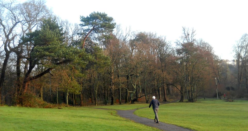 Woodlands at Kilmardinny Loch in Bearsden