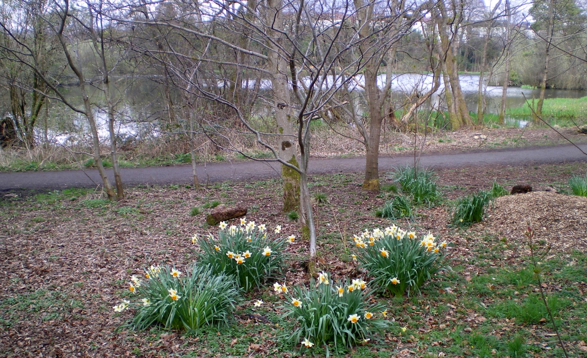 Kilmardinny Loch in Bearsden