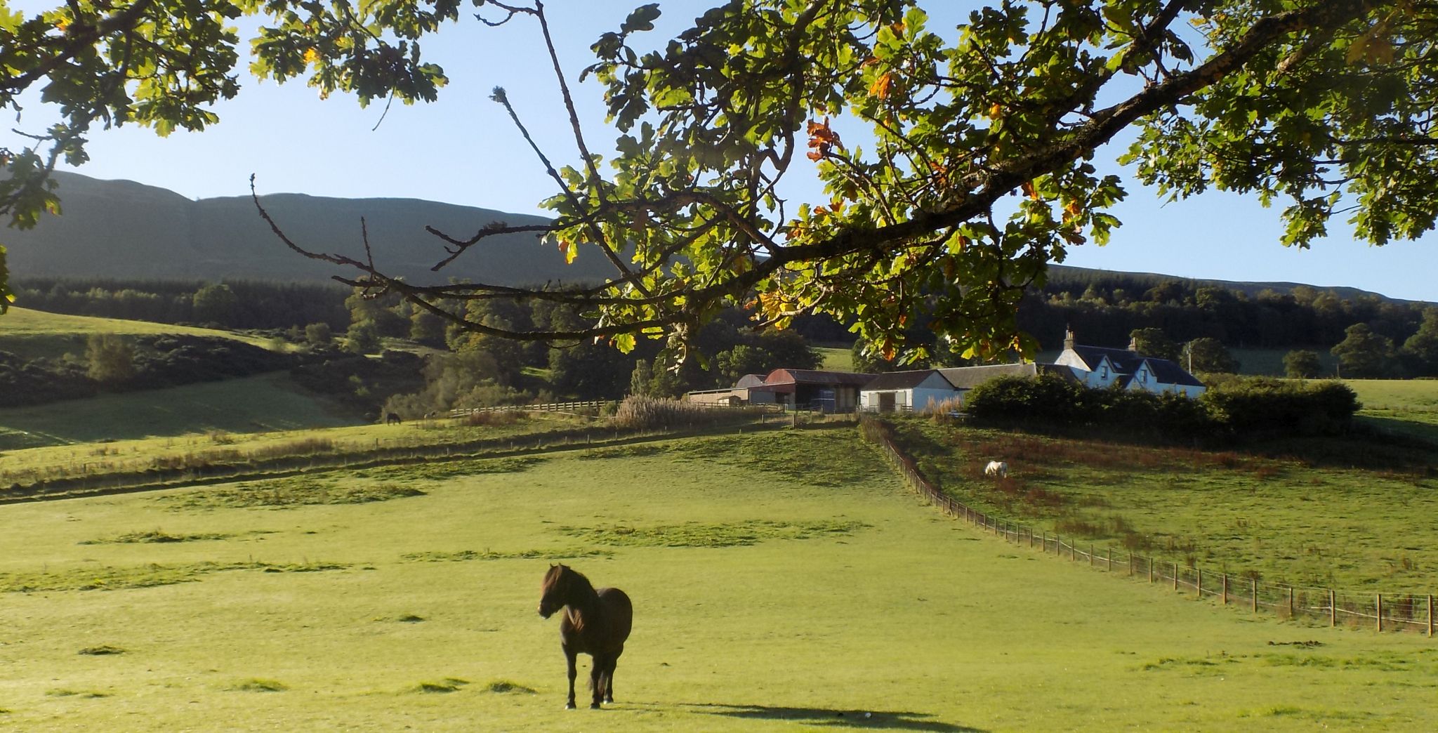 Fourmerk Farm