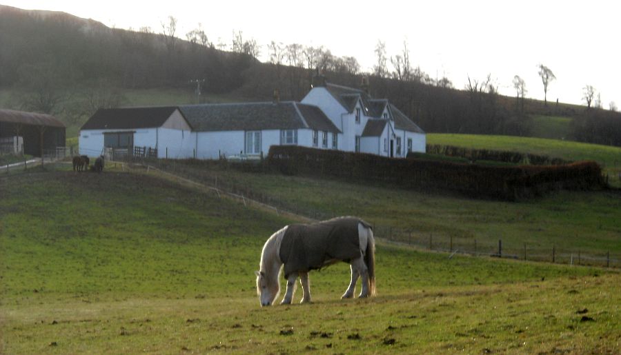 Fourmerk Farm