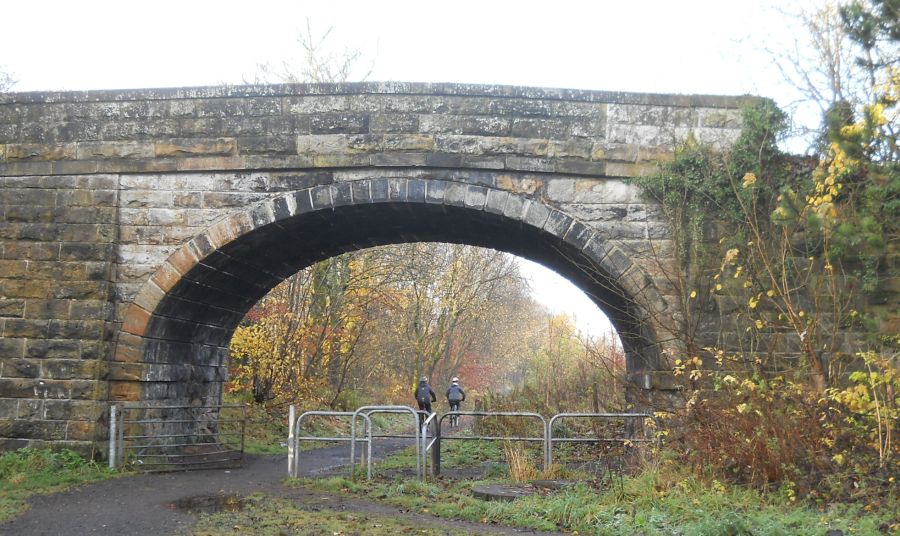 Bridge over the Thomas Muir Trail