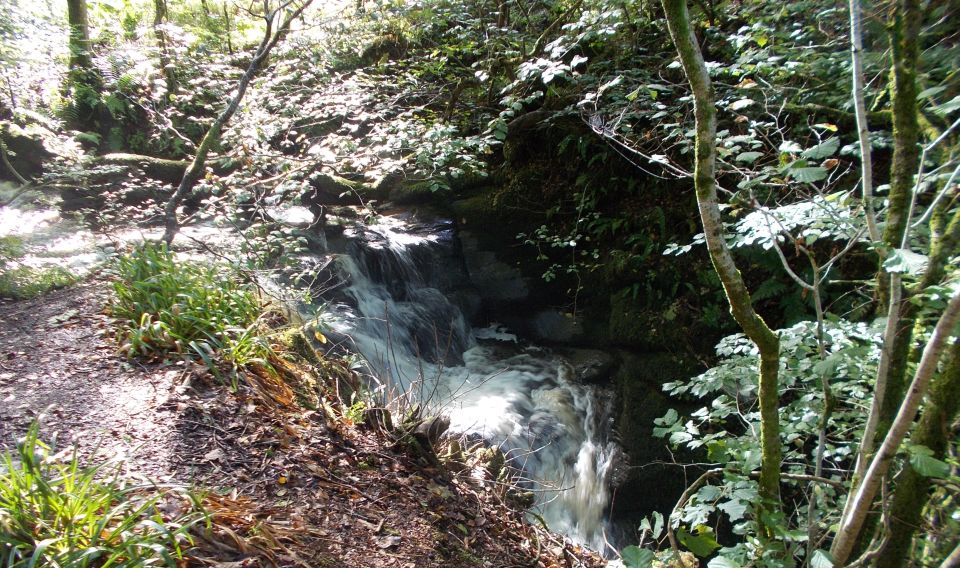 Spardie Linn on Overtoun Burn