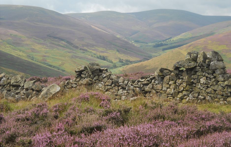 Hills above Glensax at Peebles