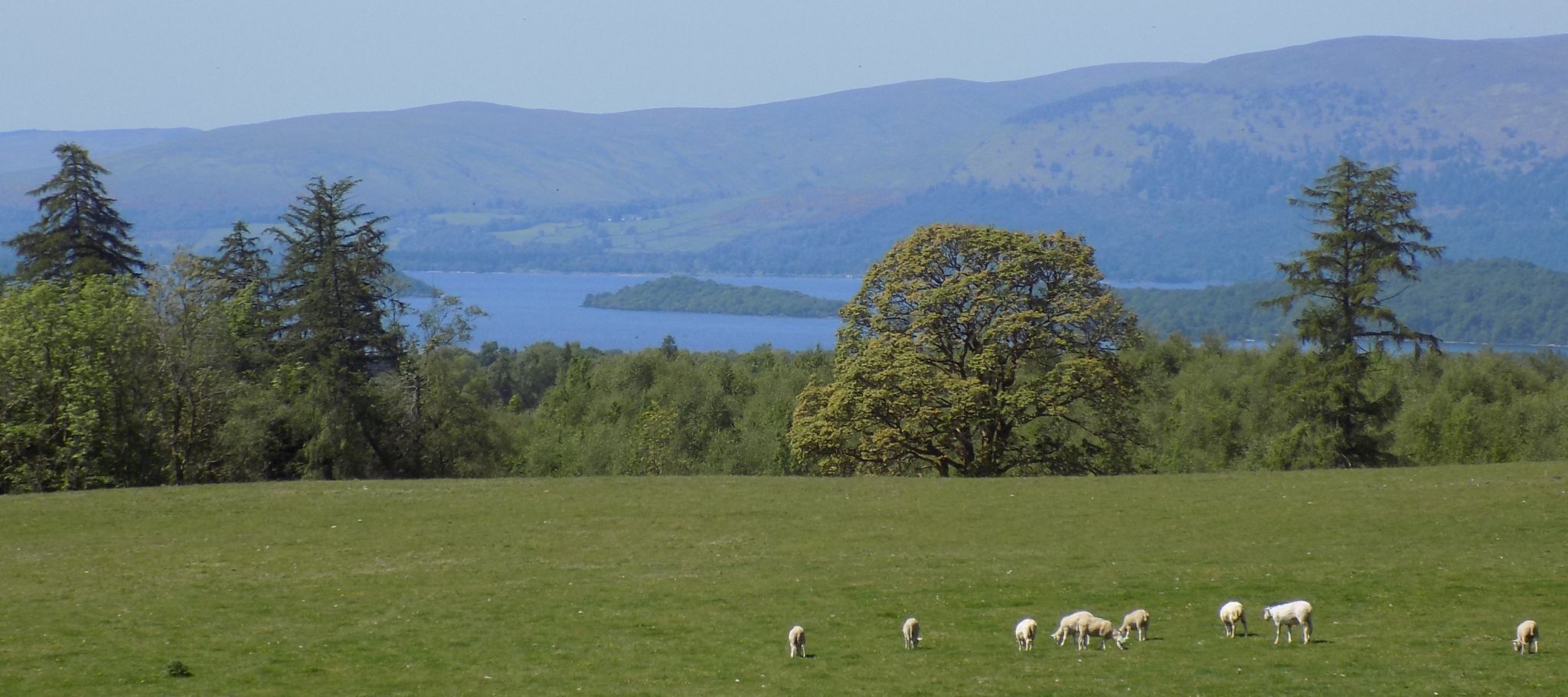 Loch Lomond from the Rob Roy Way