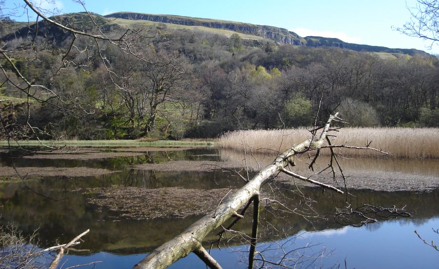 Rock Escarpment of the Fintry Hills from Craigton Pond