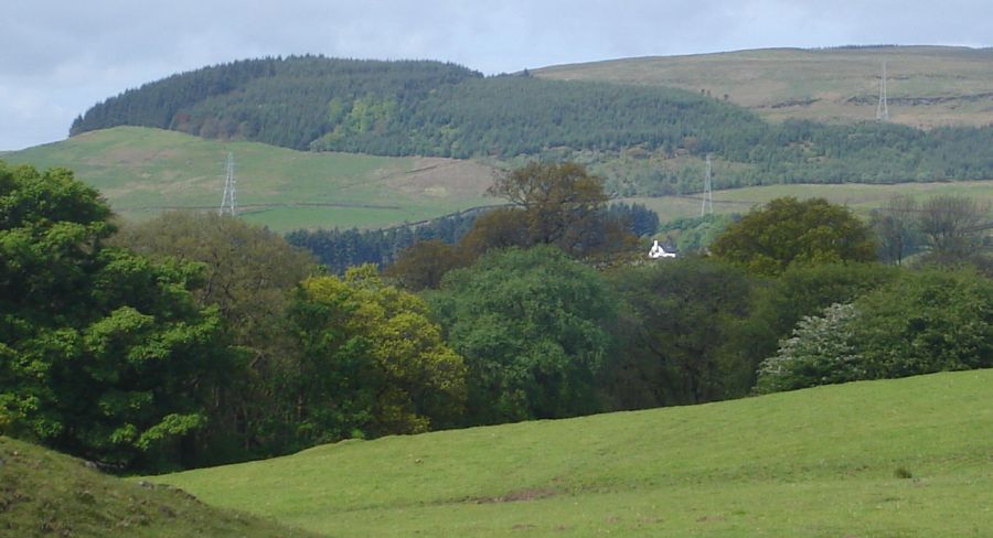 Kilpatrick Hills from West Highland Way