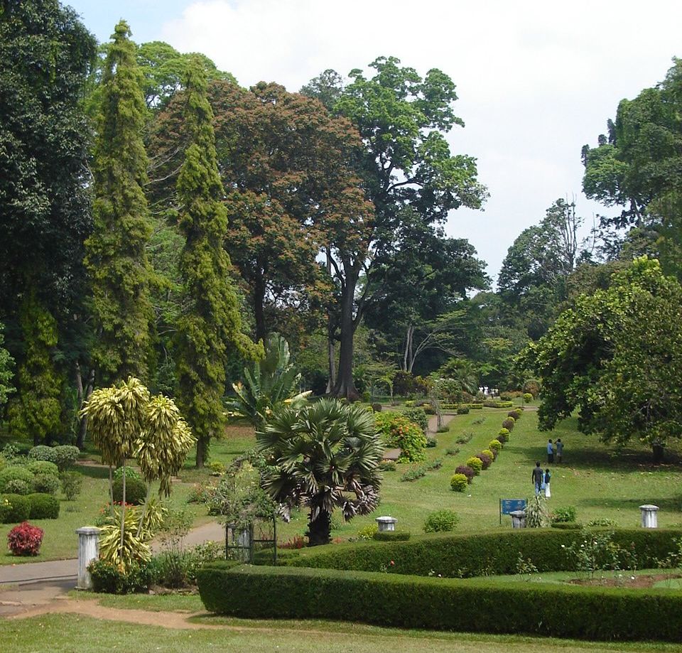 Peradeniya Botanic Gardens